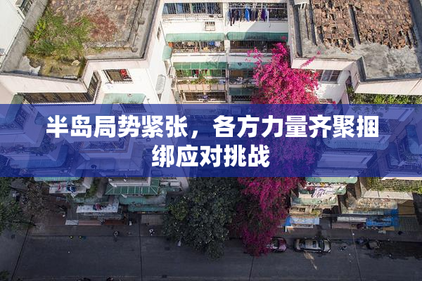 半岛局势紧张，各方力量齐聚捆绑应对挑战