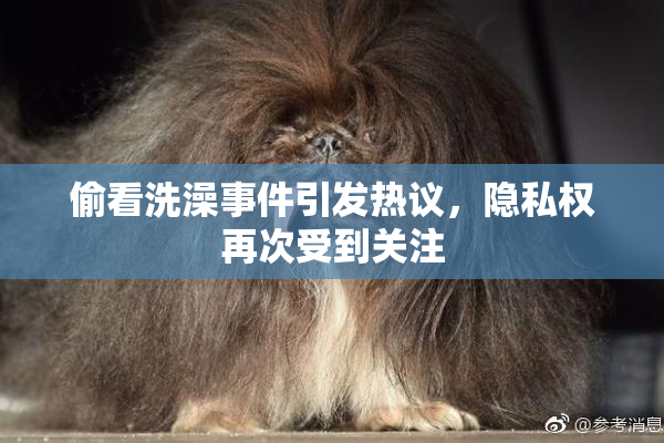 偷看洗澡事件引发热议，隐私权再次受到关注