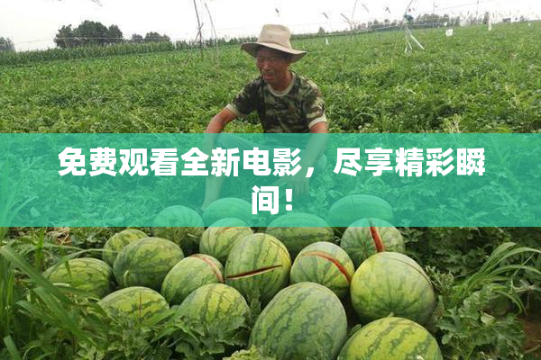 免费观看全新电影，尽享精彩瞬间！