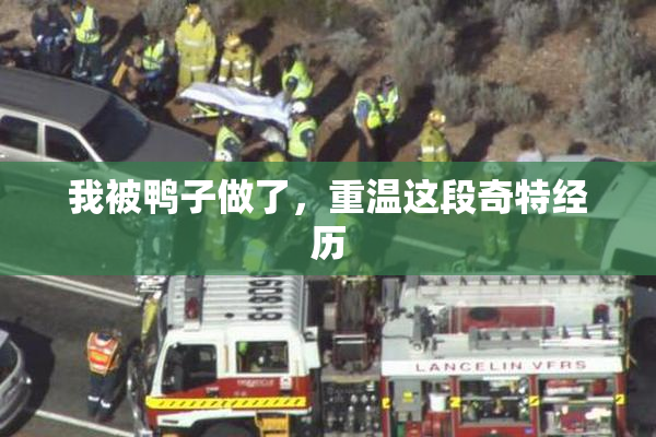 我被鸭子做了，重温这段奇特经历