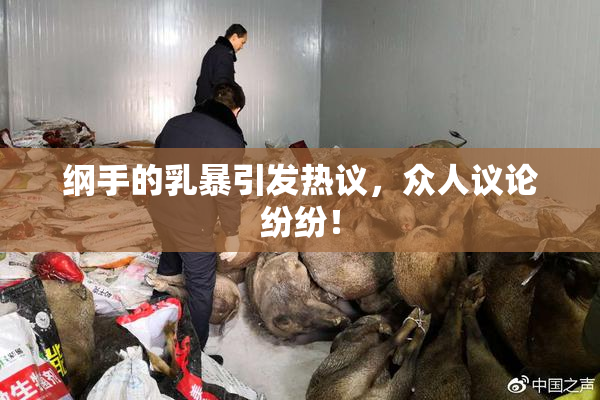 纲手的乳暴引发热议，众人议论纷纷！