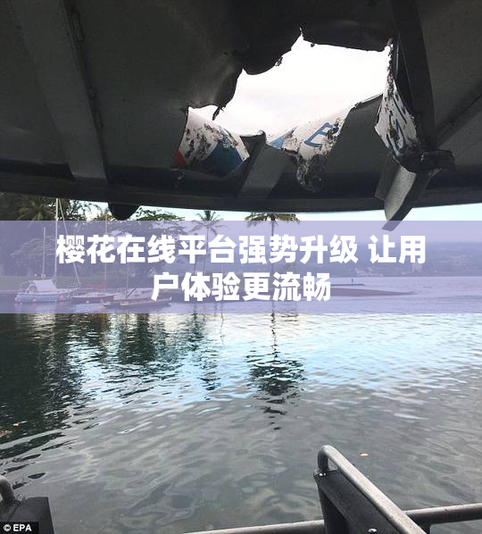 樱花在线平台强势升级 让用户体验更流畅