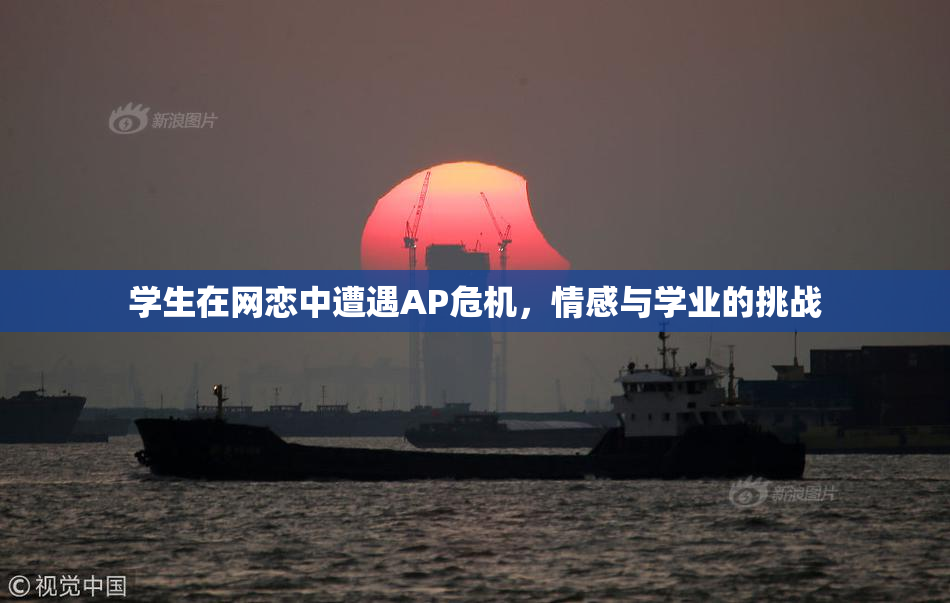 学生在网恋中遭遇AP危机，情感与学业的挑战
