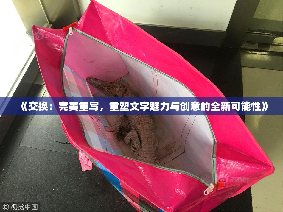 《交换：完美重写，重塑文字魅力与创意的全新可能性》