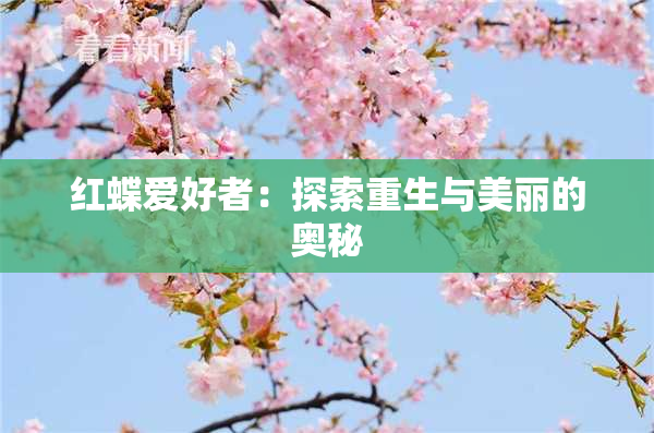红蝶爱好者：探索重生与美丽的奥秘