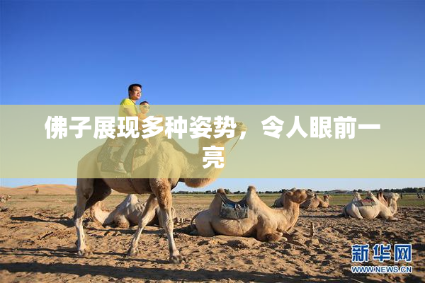 佛子展现多种姿势，令人眼前一亮