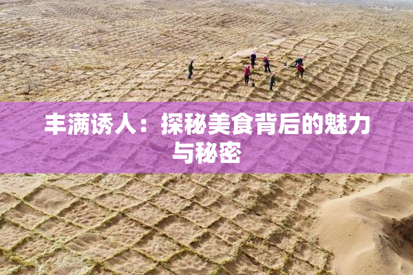 丰满诱人：探秘美食背后的魅力与秘密