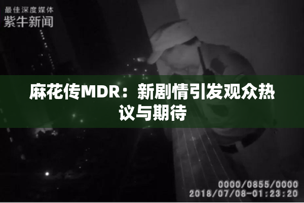 麻花传MDR：新剧情引发观众热议与期待