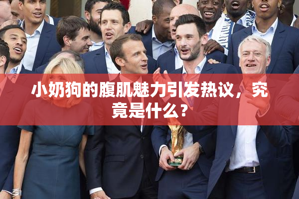 小奶狗的腹肌魅力引发热议，究竟是什么？