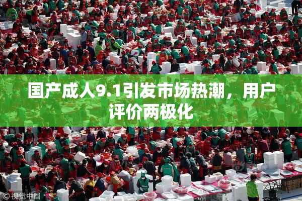国产成人9.1引发市场热潮，用户评价两极化