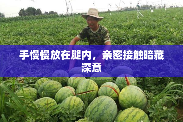 手慢慢放在腿内，亲密接触暗藏深意