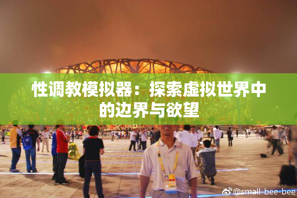 性调教模拟器：探索虚拟世界中的边界与欲望