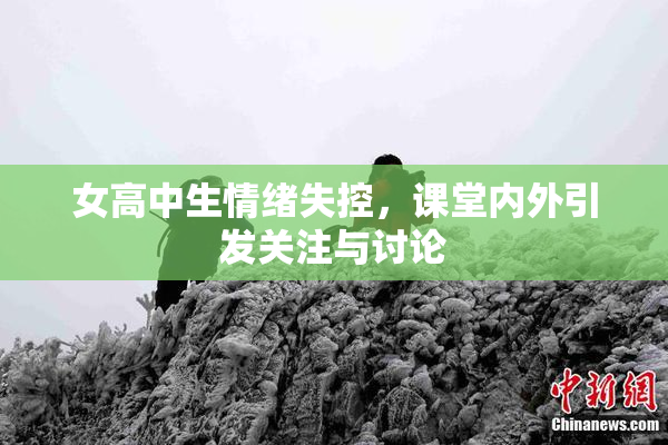 女高中生情绪失控，课堂内外引发关注与讨论