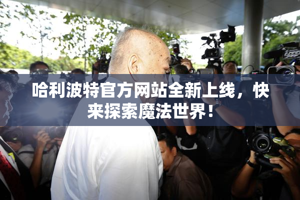 哈利波特官方网站全新上线，快来探索魔法世界！