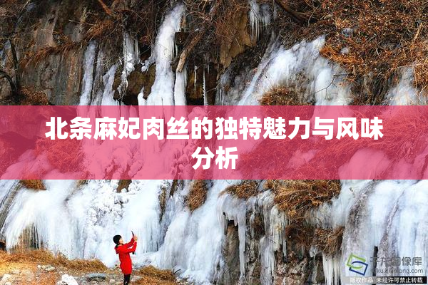 北条麻妃肉丝的独特魅力与风味分析