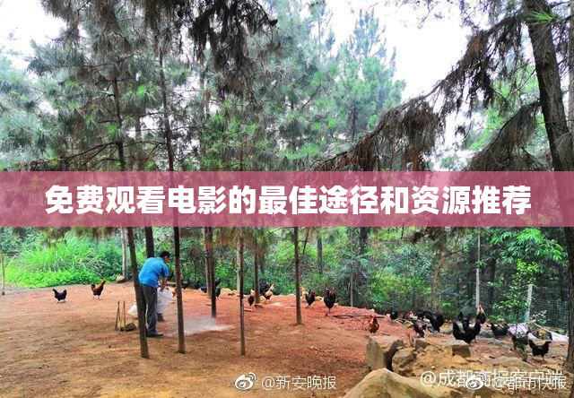免费观看电影的最佳途径和资源推荐