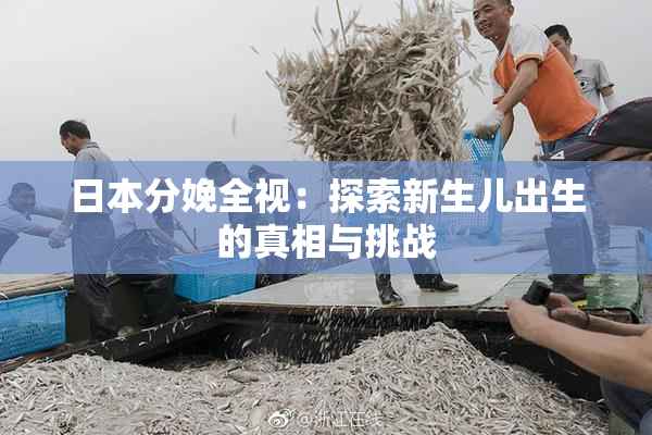 日本分娩全视：探索新生儿出生的真相与挑战
