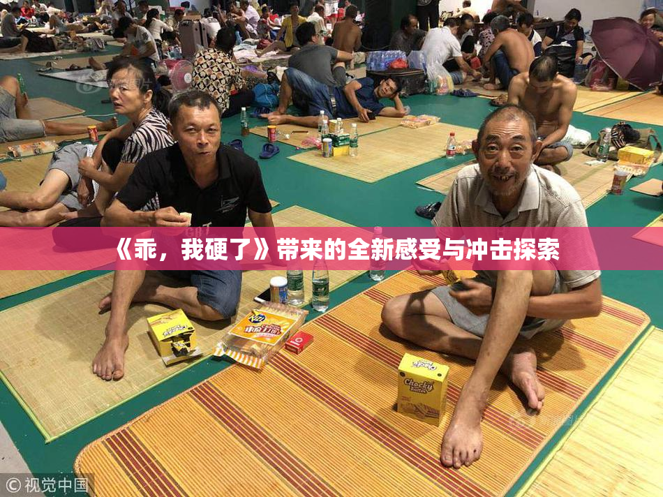 《乖，我硬了》带来的全新感受与冲击探索