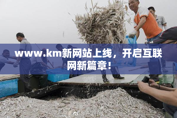 www.km新网站上线，开启互联网新篇章！