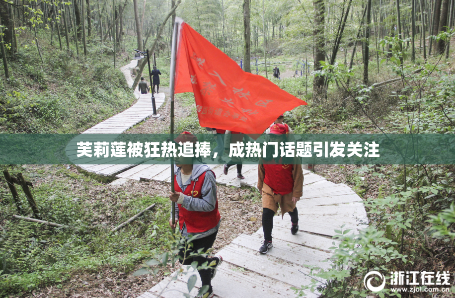 芙莉莲被狂热追捧，成热门话题引发关注