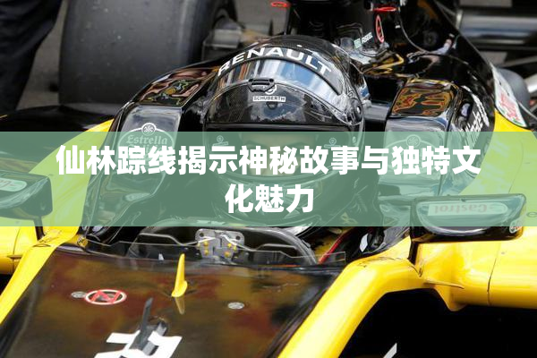 仙林踪线揭示神秘故事与独特文化魅力