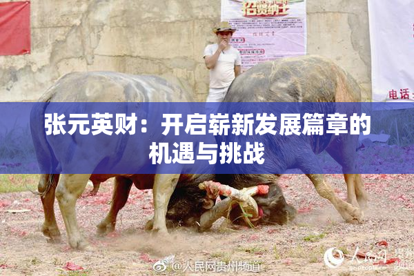 张元英财：开启崭新发展篇章的机遇与挑战