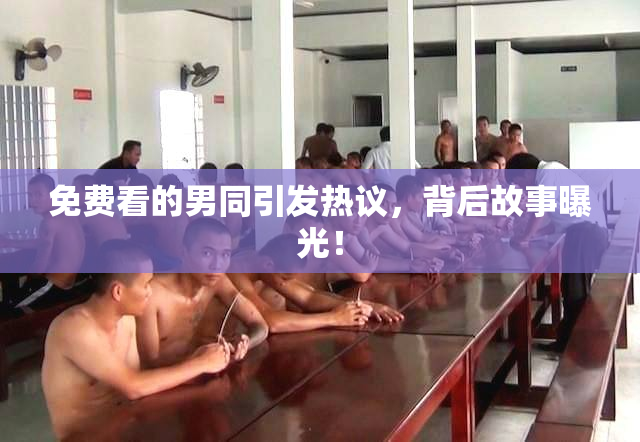 免费看的男同引发热议，背后故事曝光！
