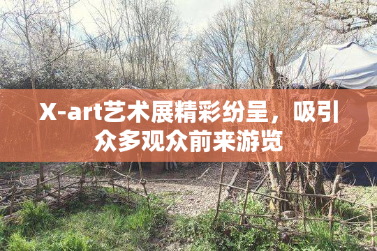X-art艺术展精彩纷呈，吸引众多观众前来游览
