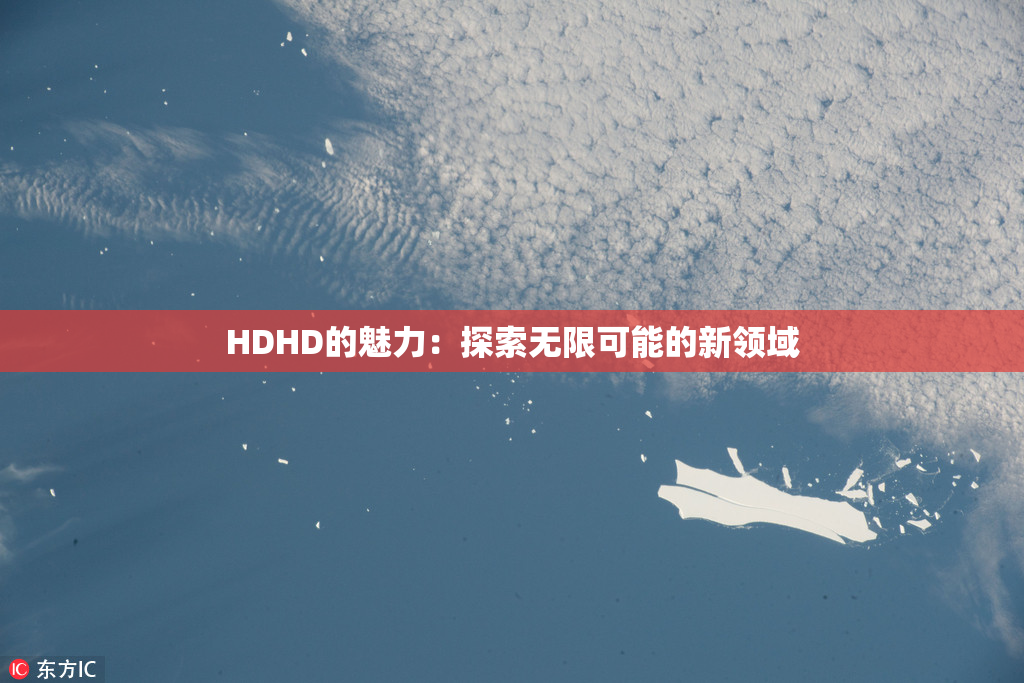 HDHD的魅力：探索无限可能的新领域