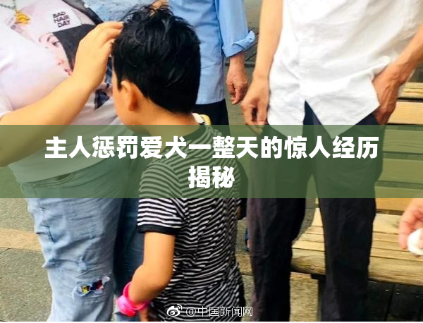 主人惩罚爱犬一整天的惊人经历揭秘