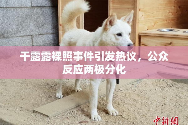 干露露裸照事件引发热议，公众反应两极分化
