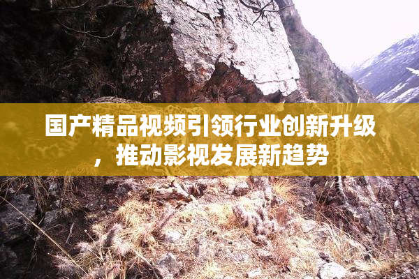 国产精品视频引领行业创新升级，推动影视发展新趋势