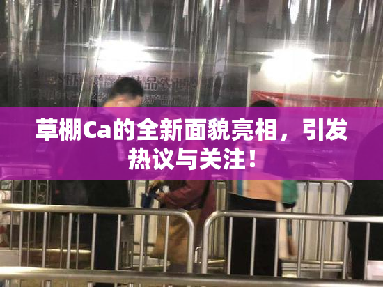 草棚Ca的全新面貌亮相，引发热议与关注！