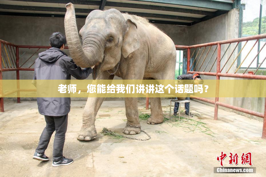 老师，您能给我们讲讲这个话题吗？