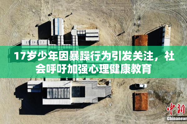 17岁少年因暴躁行为引发关注，社会呼吁加强心理健康教育