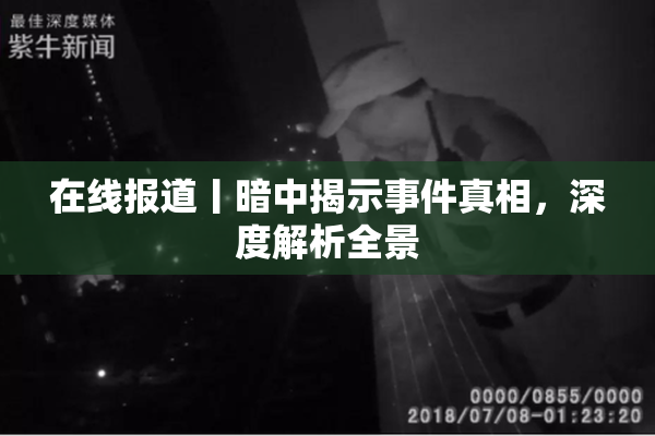 在线报道丨暗中揭示事件真相，深度解析全景