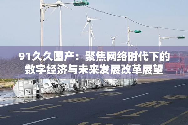 91久久国产：聚焦网络时代下的数字经济与未来发展改革展望