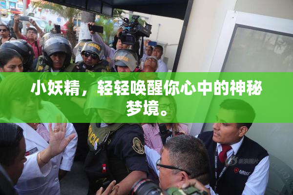 小妖精，轻轻唤醒你心中的神秘梦境。