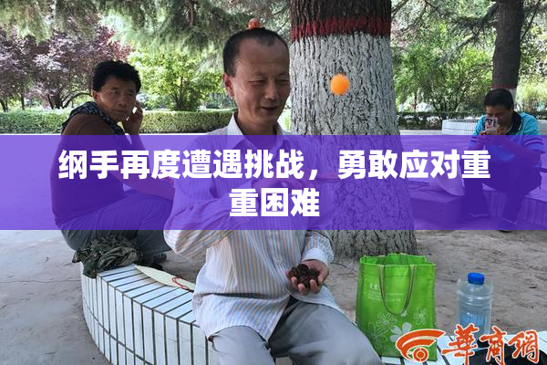 纲手再度遭遇挑战，勇敢应对重重困难