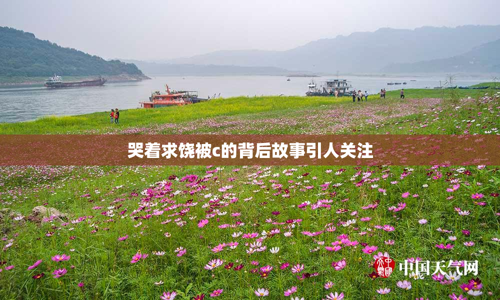 哭着求饶被c的背后故事引人关注