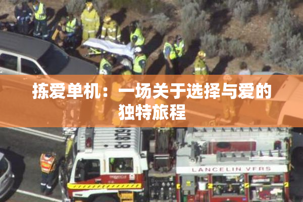 拣爱单机：一场关于选择与爱的独特旅程