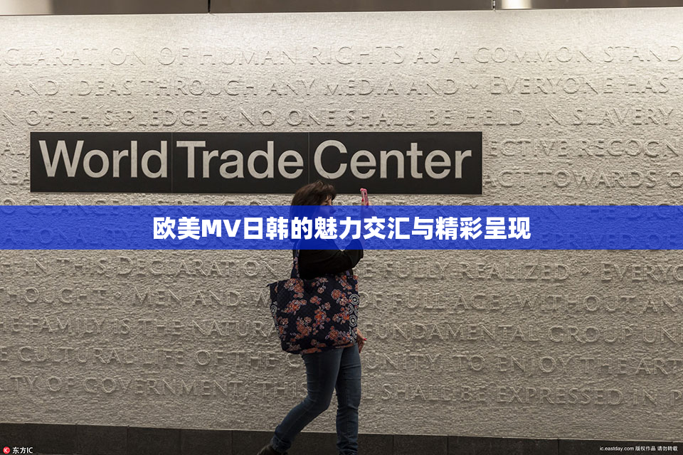 欧美MV日韩的魅力交汇与精彩呈现