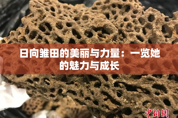 日向雏田的美丽与力量：一览她的魅力与成长