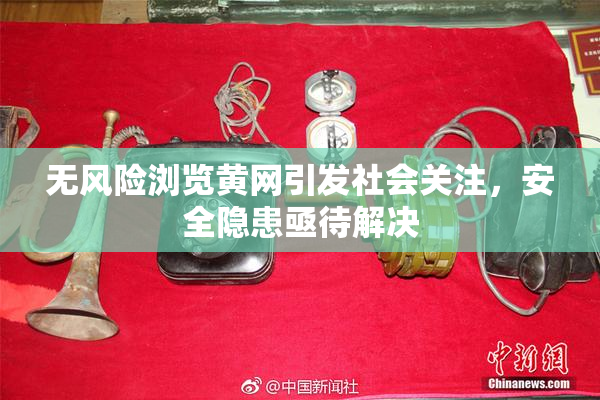 无风险浏览黄网引发社会关注，安全隐患亟待解决