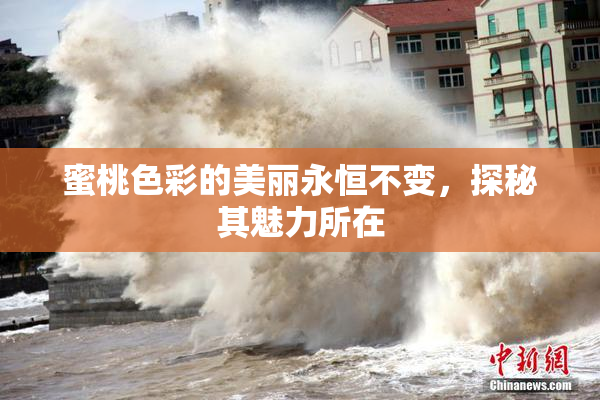 蜜桃色彩的美丽永恒不变，探秘其魅力所在