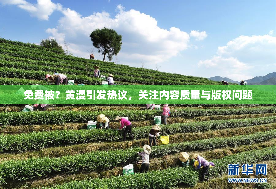 免费被？黄漫引发热议，关注内容质量与版权问题