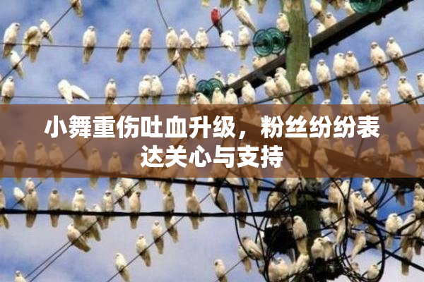 小舞重伤吐血升级，粉丝纷纷表达关心与支持