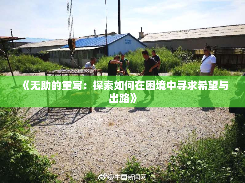 《无助的重写：探索如何在困境中寻求希望与出路》