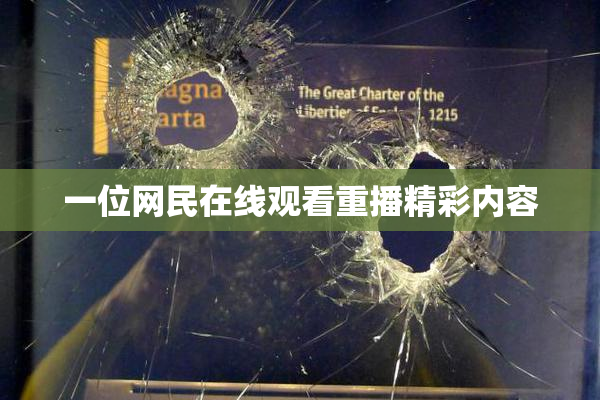 一位网民在线观看重播精彩内容