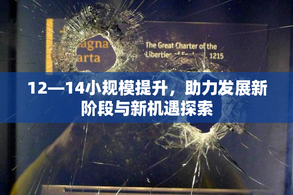 12—14小规模提升，助力发展新阶段与新机遇探索